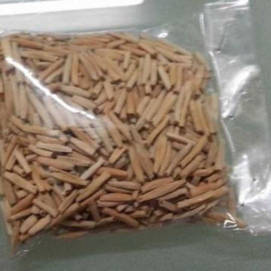 Adenium Arabicum Seeds Id S0004 with germination rate of seeds above